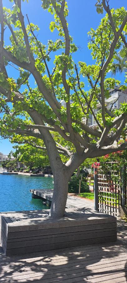 V&A Waterfront Marina Family Apartment 101 Altmore Cape Town Bagian luar foto